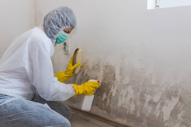 Water Damage Restoration in New Richmond, OH
