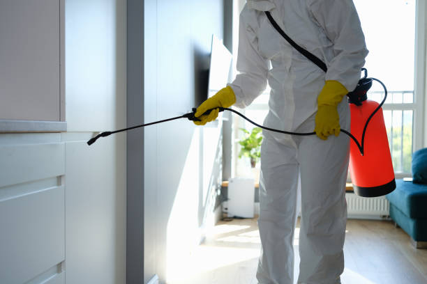 Best Affordable Mold Removal  in New Richmond, OH