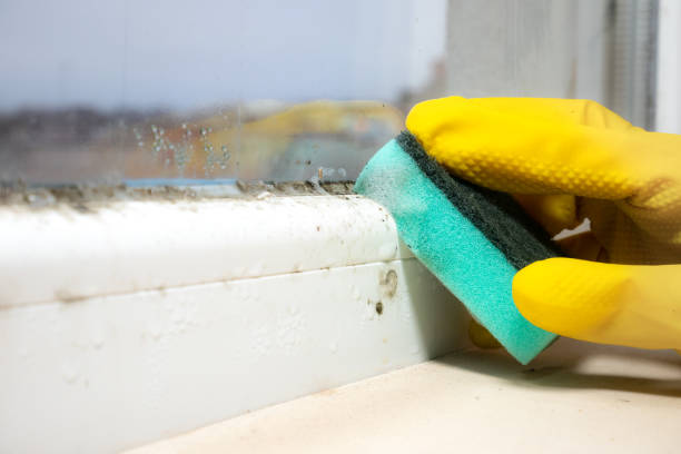 Best Mold Testing  in New Richmond, OH