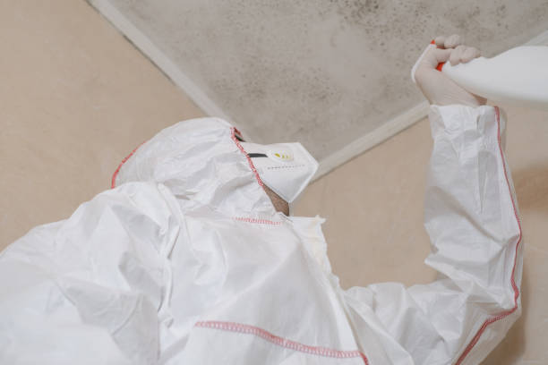 Best Certified Mold Removal  in New Richmond, OH
